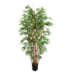Konstväxter - Bambu, 0 kr / st